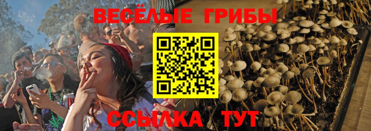 Галлюциногенные грибы Psilocybe  Вход с VPN  Ишимбай 